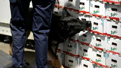 New health risks emerge as Europe’s drug market grows more complex, EU agency warns