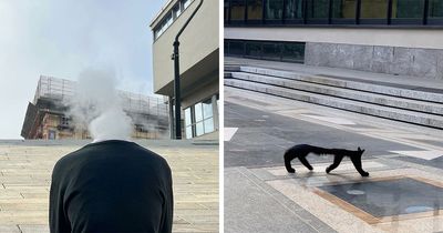 80 Street Photo Sets By Fontanesi That Seamlessly Combine Reality And Unexpected Coincidences