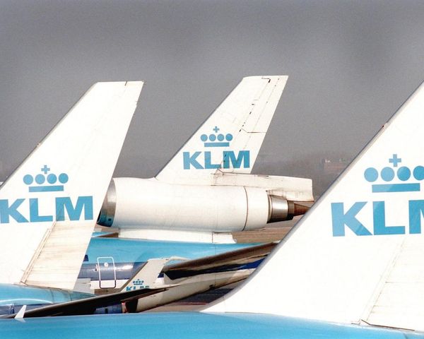 KLM apologises after Paralympian denied onboard wheelchair on 11-hour flight