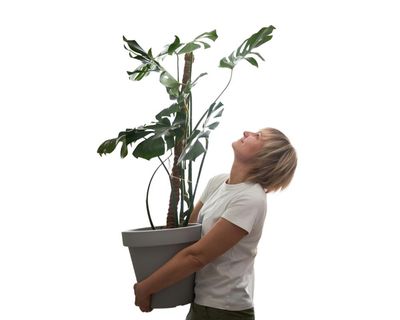 Houseplant hacks: does talking to your plants help them grow?