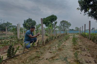 ‘I fear people will go to war over water’: as wells run dry, farmers struggle to survive in Bangladesh