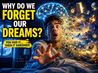 Why Do We Instantly Forget Most of Our Dreams?