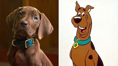 Zoinks! Fans outraged over four-legged star of Netflix's Scooby-Doo live-action reboot