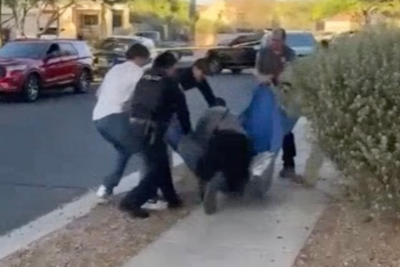 Bear rescue takes comic turn as officer tumbles onto sedated animal