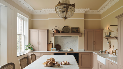 Should Kitchen Cabinets Match Your Wall Colors? There's a New Answer for 2026, According to Designers
