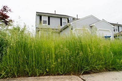 7 Yard Features That Lower Your Resale Value