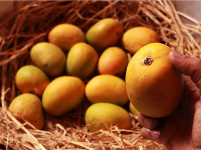 Nepal govt restricts imports of mangoes from India