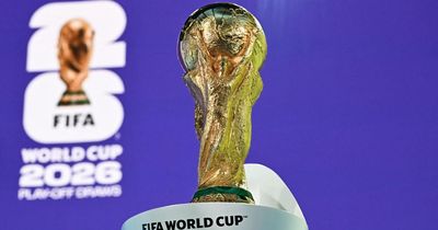 Iran federation announce World Cup ticketing withdrawal one week from kick-off