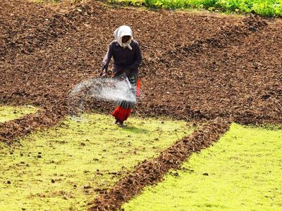 Fertiliser Ministry seeks to double subsidy from Rs 1.71 lakh crore budgeted for FY27 as Iran war hits costs