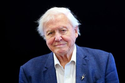 Minister backs David Attenborough monument but suggests private sector funding