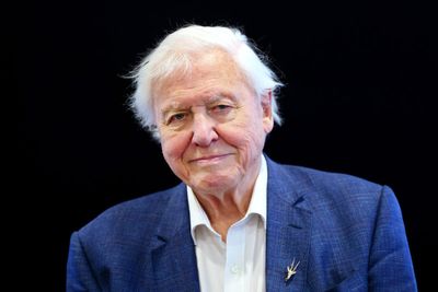 Minister backs David Attenborough monument but suggests private sector funding
