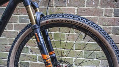 Vittoria Mezcal tyre review: Responsive all-rounder with the pedigree to boot