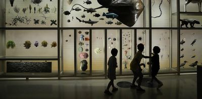A day at the museum: How to follow kids’ leads to support curiosity across generations