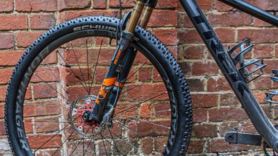 Schwalbe Racing Ralph Performance Line tyre review: Good in the wet, safe in the rough