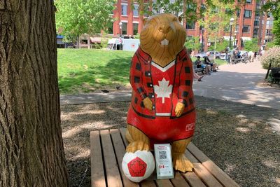 Join the beaver hunt: Toronto neighborhood offers unique World Cup-themed scavenger hunt