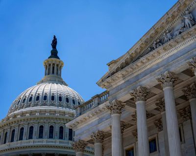 Hard-right groups have expanded their influence across US government, report finds