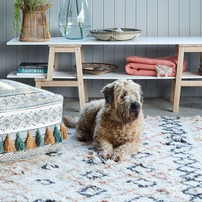 The cleaning tips every pet-lover should know to keep their home spotless and hair-free – they’re *so* quick and easy