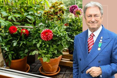 Alan Titchmarsh's simple 'power of three' trick is perfect for brightening up any dull patio