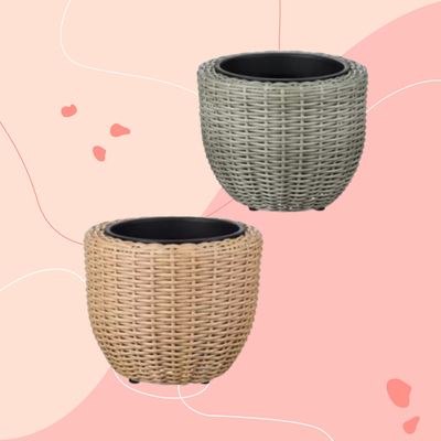 Aldi's luxury-look rattan planters nail the coastal garden trend – these are the plants I'd pair it with for a glorious summer display