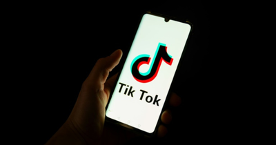 Britons Are Buying Furniture, Appliances and Designer Fashion on TikTok: Is the High Street in Trouble?