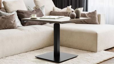 I tested the Progressive Mini Ryzer Standing Desk in my compact space for a month — here's what happened