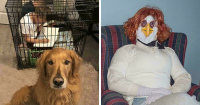 67 Hilarious Images That Are Somehow Both Blessed And Cursed