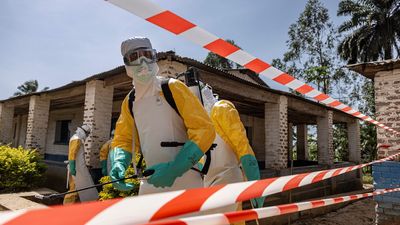 3 new Ebola vaccines are being fast-tracked amid the current outbreak — when could they be ready?