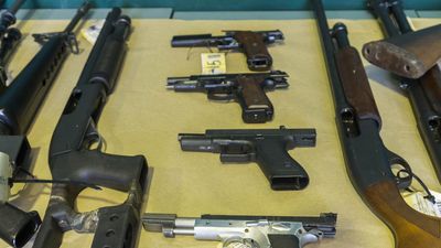 Gun licence 'rubber stamping' process panned by coroner