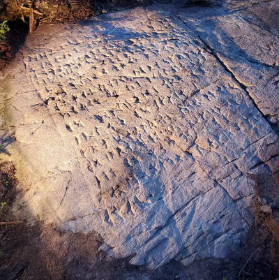 How a runestone in Ontario became one of North America’s most significant archaeological finds
