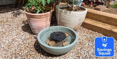 I built this stunning water feature for under $40 — here’s how