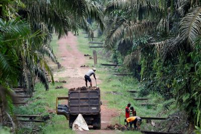 Indonesia braces for rising forest fire risks from dry season