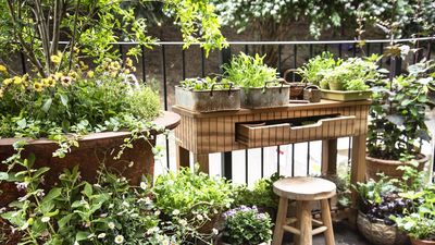 IKEA's 2-in-1 Chic Plant Stand is The Perfect Way To Zone a Balcony or Small Yard – And it Creates Instant Privacy