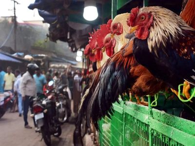 Varanasi to shift meat, fish and poultry shops out of city to these five locations before Sawan month