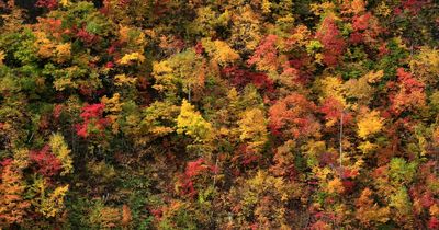 Your Inner World Has A Season – And These 27 Questions Know Exactly Which One It Is