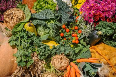 9 Flowers That Secretly Help Your Vegetable Garden Grow Better