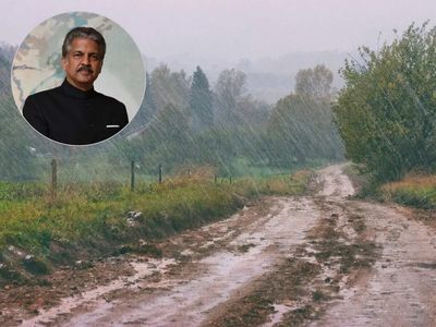Dil ka Chor: Anand Mahindra decodes the name of the smell after rain, says Indians may have a better term for it