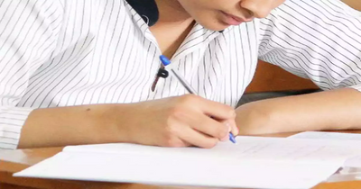 HP TET 2026 admit cards released: Direct link, how to downloand, exam date, and other details