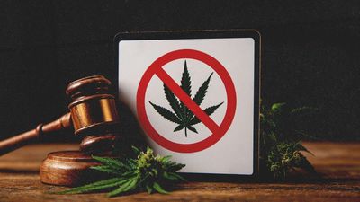 Mitch McConnell's Hemp Ban Betrays the Industry He Helped Create