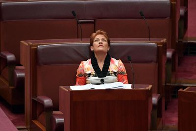 One Nation’s ‘incredibly sloppy’ financial reports reveal more than $1m in missing or worthless assets