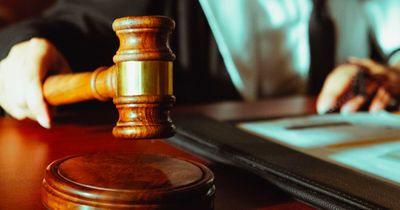 Size Of Offender’s Manhood Can’t Justify Indefinite Detention, South Carolina Top Court Rules
