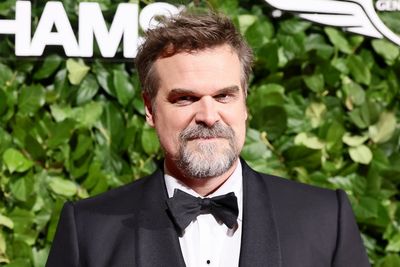 David Harbour breaks silence on Lily Allen’s album: ‘It was weird’