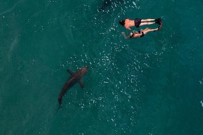 Navy employee fighting for his life after being attacked by shark off Florida coast, report says