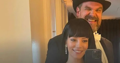 'It Was Weird': David Harbour Reacts to Ex Lily Allen's Breakup Album 'West End'