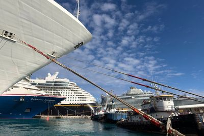 Five cruise ship passengers from the US arrested after brawl
