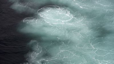 Mysterious 'cold blob' in the Atlantic is a sign of the Gulf Stream weakening — and that's bad news for the US East Coast
