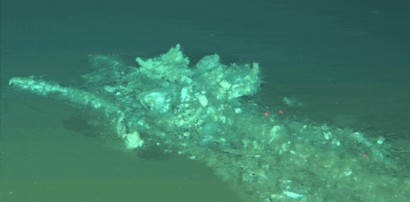 A 5.3 million-year-old whale graveyard has been found on the floor of the Indian Ocean