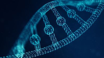 In a first, scientists translated an entire viral genome so a quantum computer could read and analyze it