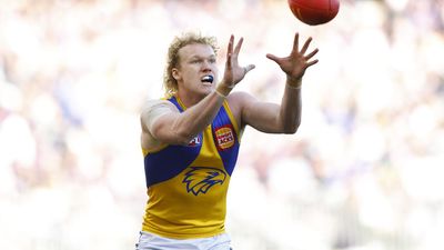 Cop that: Lemon-throwing fan handed lengthy AFL ban