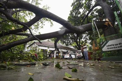 Patna weather update: IMD issues orange alert and warns of rain and thunderstorms. Check forecast for Arwal, Bhagalpur, Jehanabad and others