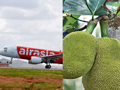 AirAsia ordered to pay Rs 90,750 after flight delay damages Kerala man's plant
